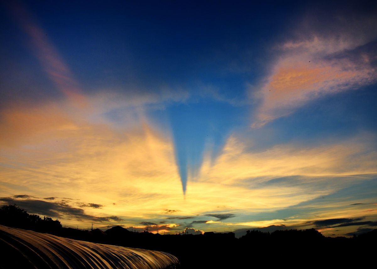 the sky | GANREF