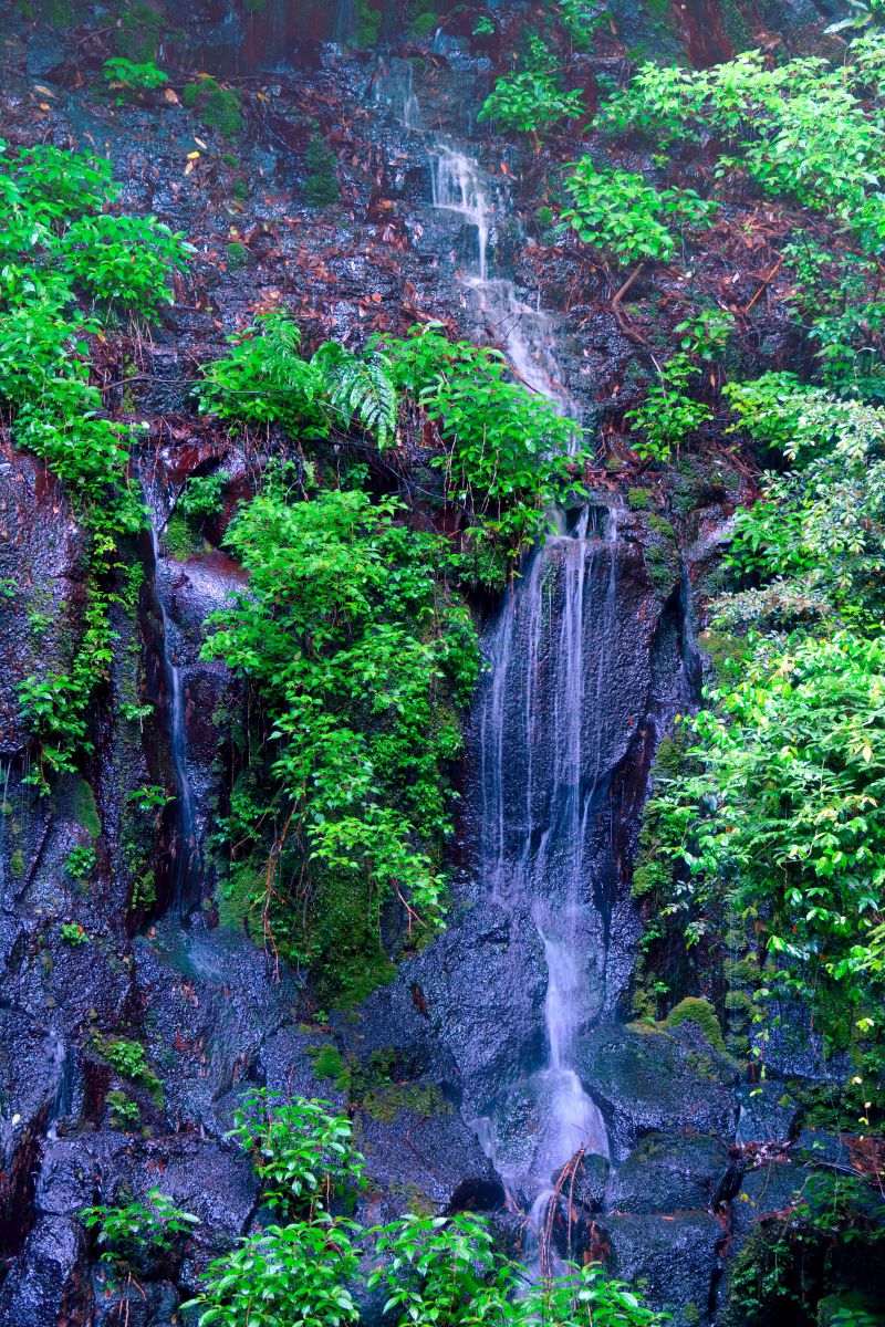 真作】掛軸滝のある山水画静寂な自然の情景渓流と滝合箱入Q193