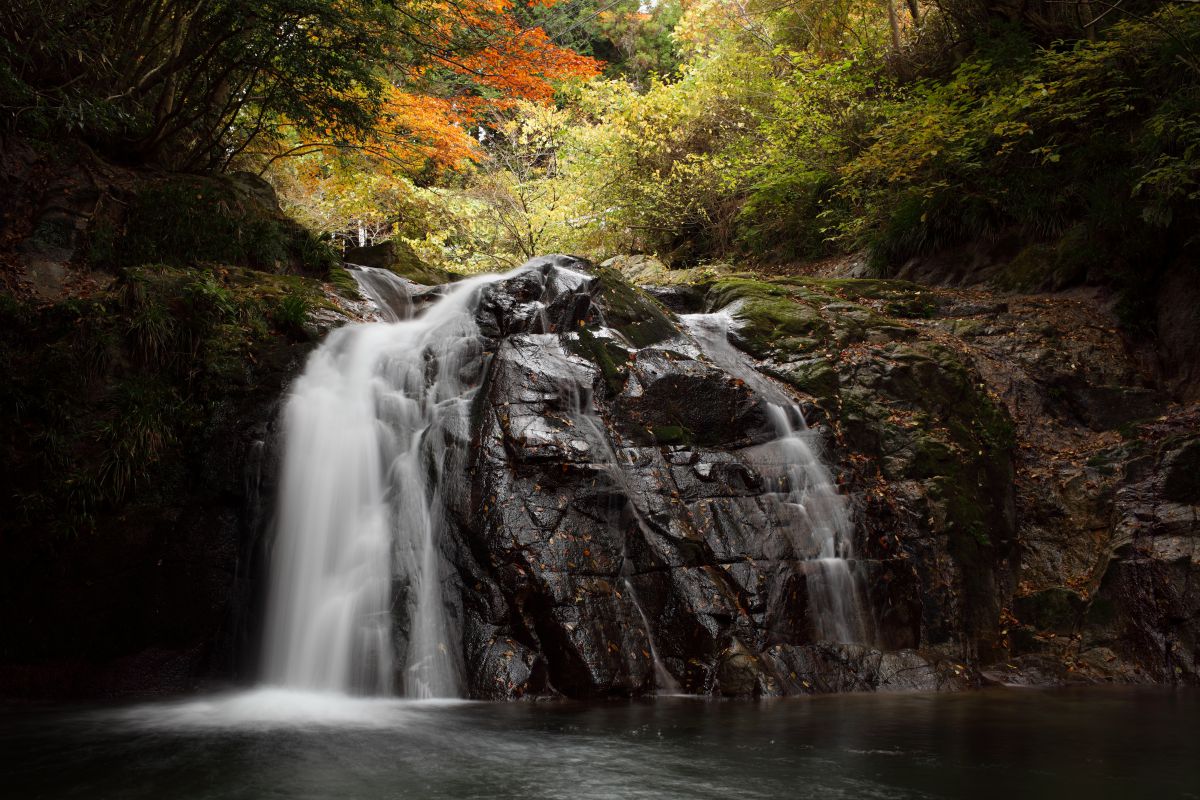 autumn flow | GANREF