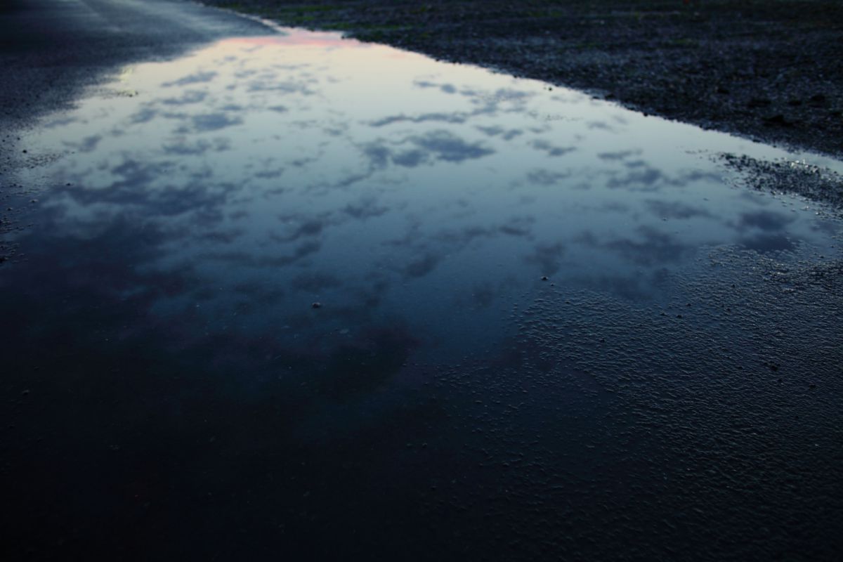 after the rain #2 | GANREF