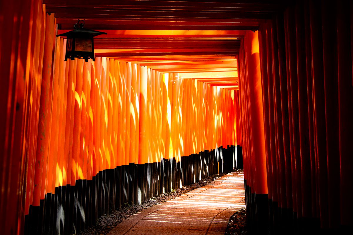 神聖な光 | GANREF