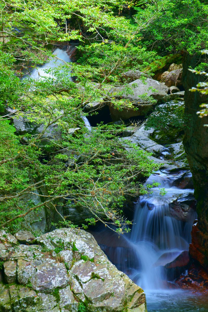 秘境の岩清水 2025年 清水渓流広場 濃溝の滝・亀岩の洞窟 - 出発前に知っておくべき