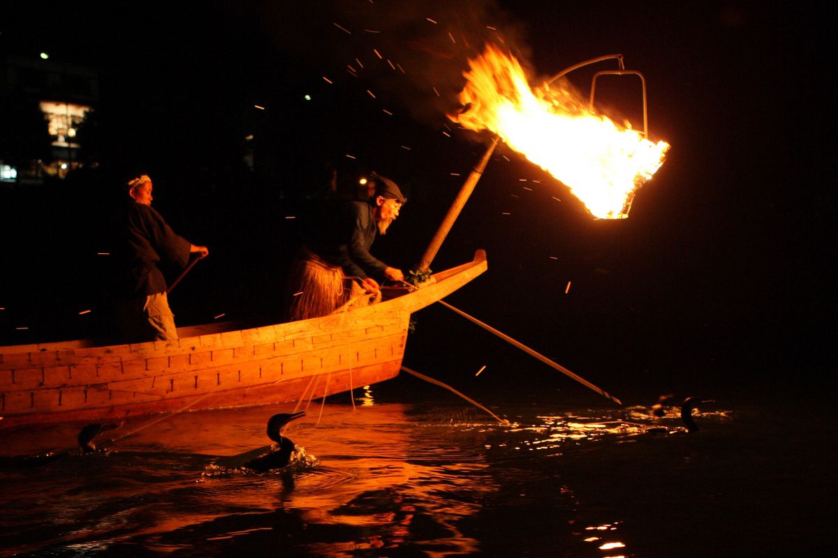 長良川 鵜飼 2 GANREF