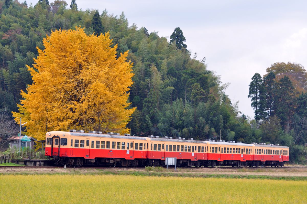 おっと、4両編成～鉄道写真ワークショップ (5) | GANREF
