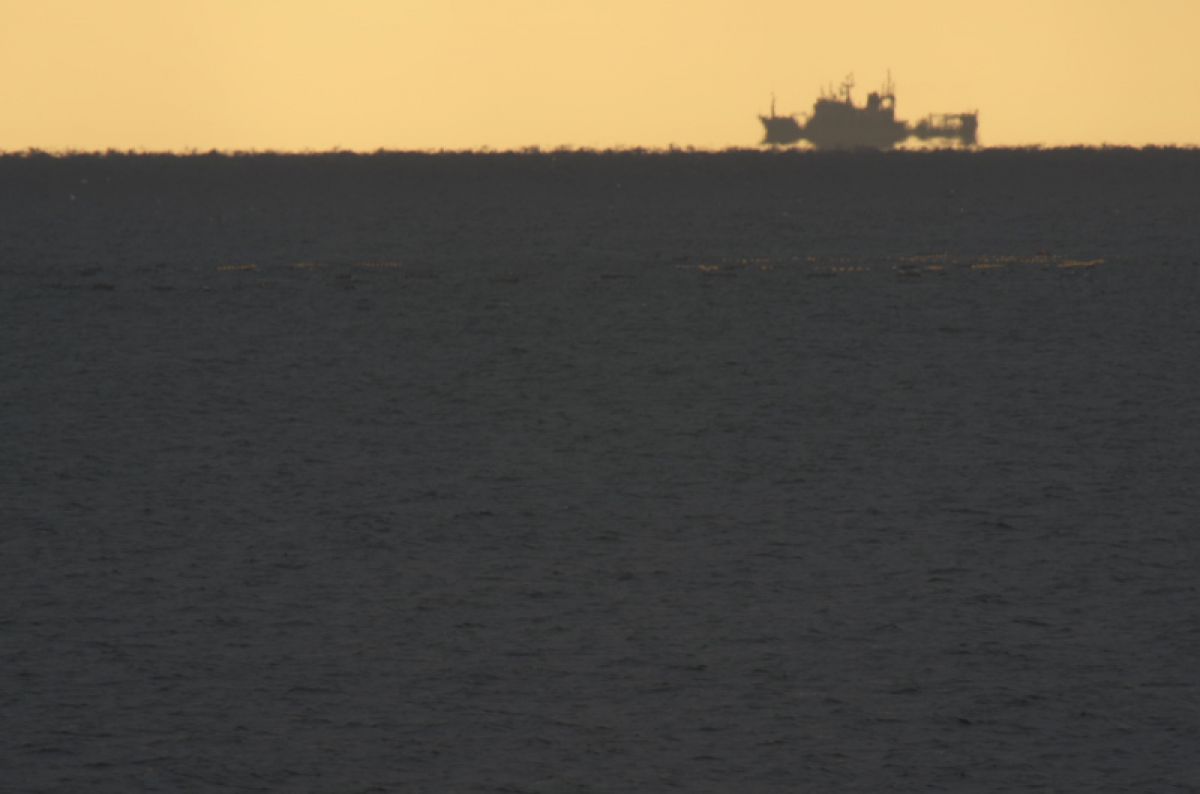 蜃気楼のように GANREF