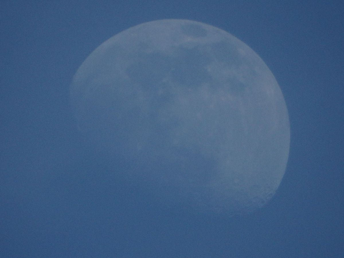 moon | GANREF