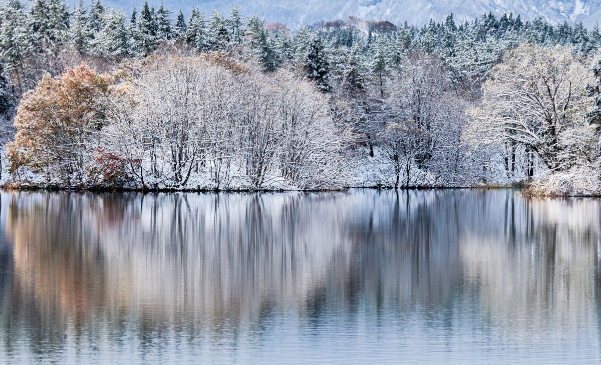 Brightness of the early winter | GANREF