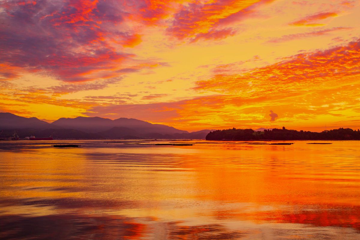 MDAwMDA1MDgzMw_MC45ODMxMzQwMCA