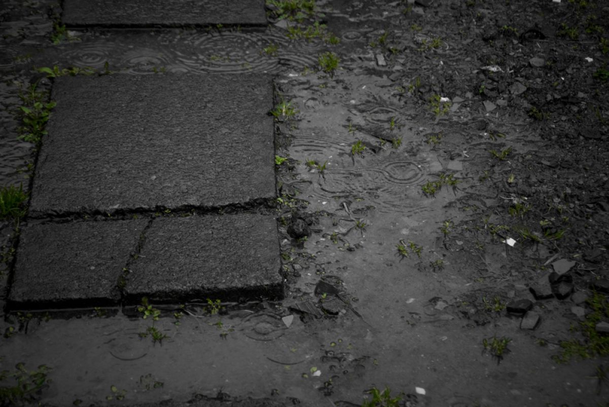 of rain | GANREF