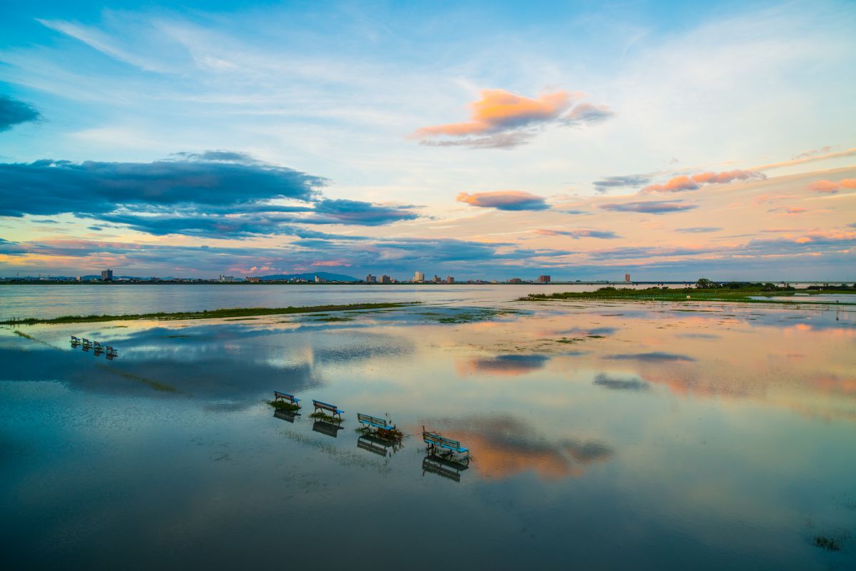 after the heavy rain | GANREF