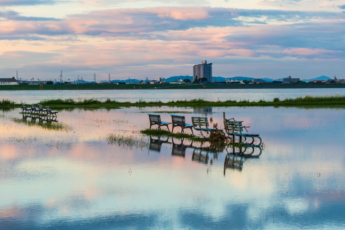 after the heavy rain | GANREF