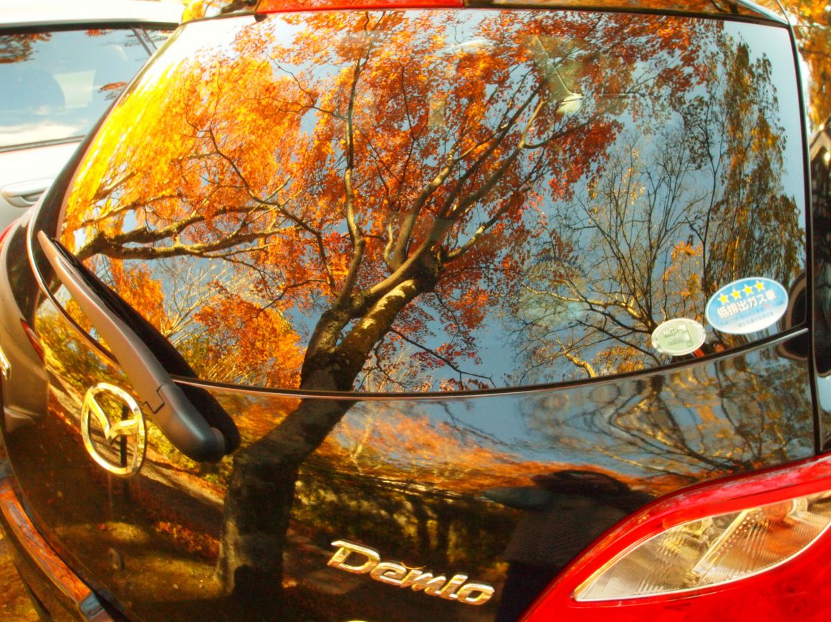 autumn color | GANREF