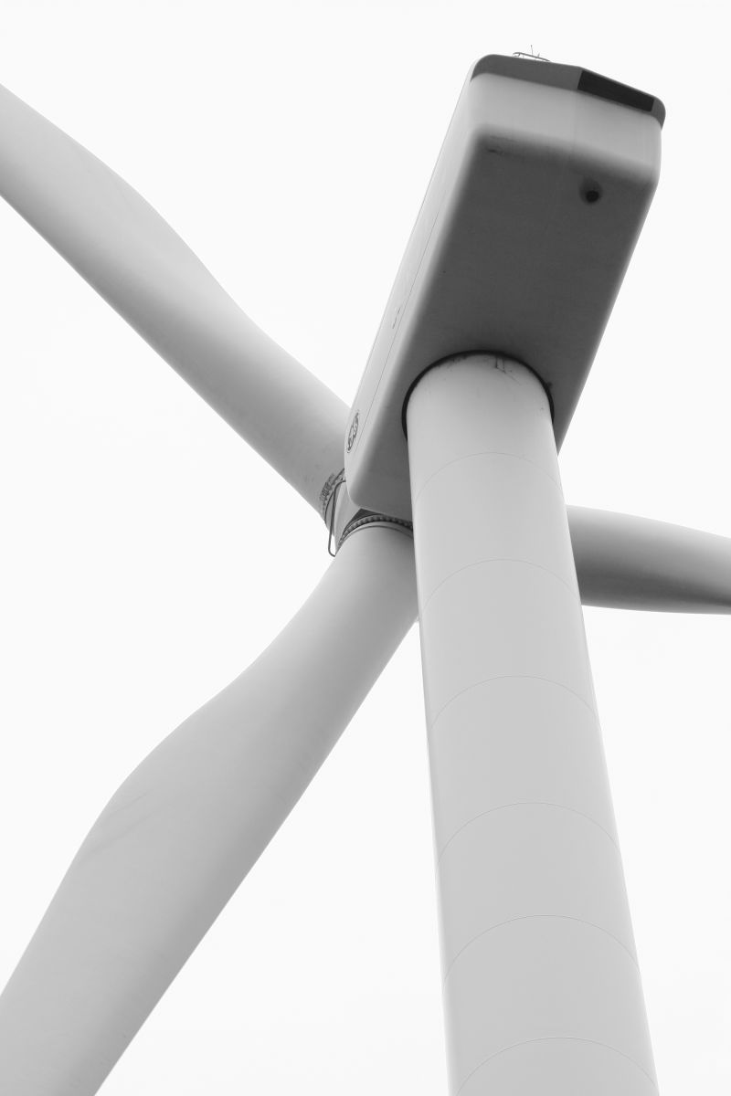 fan | GANREF