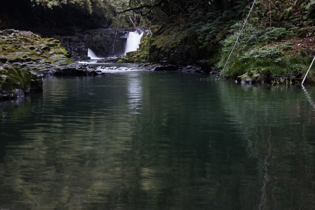 鹿児島加治木にて GANREF