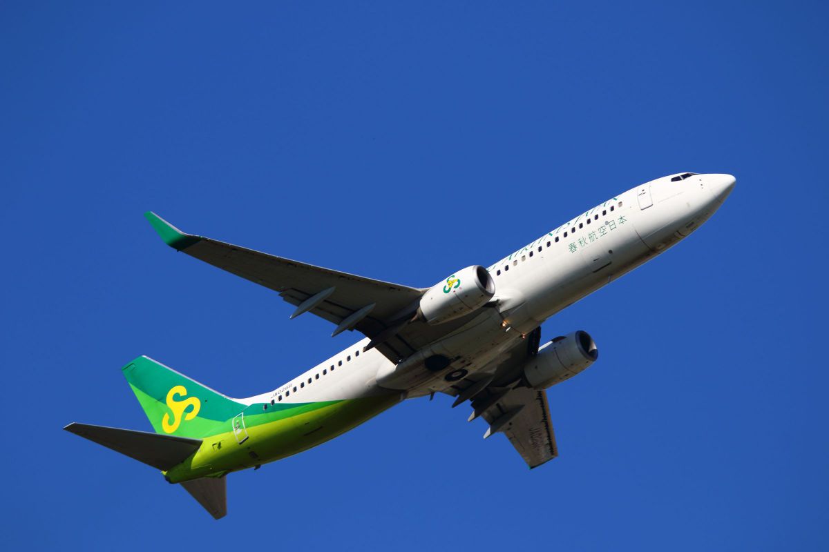 BOEING 737-800　Spring Japan 春秋航空　モデルプレーン Amazon | スプリングジャパン春秋航空日本 B737 模型 SPRING