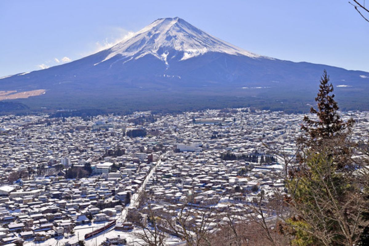 img 6 m 11 jpeg GANREF img 6 m 11 jpeg GANREF