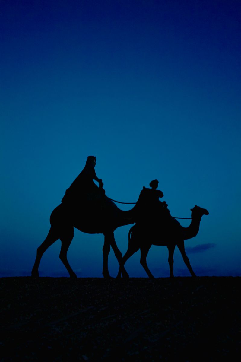 ラクダの皮で作ったランプ　月の砂漠 ラクダの皮で作ったランプ 月の砂漠 ラクダの皮で作った