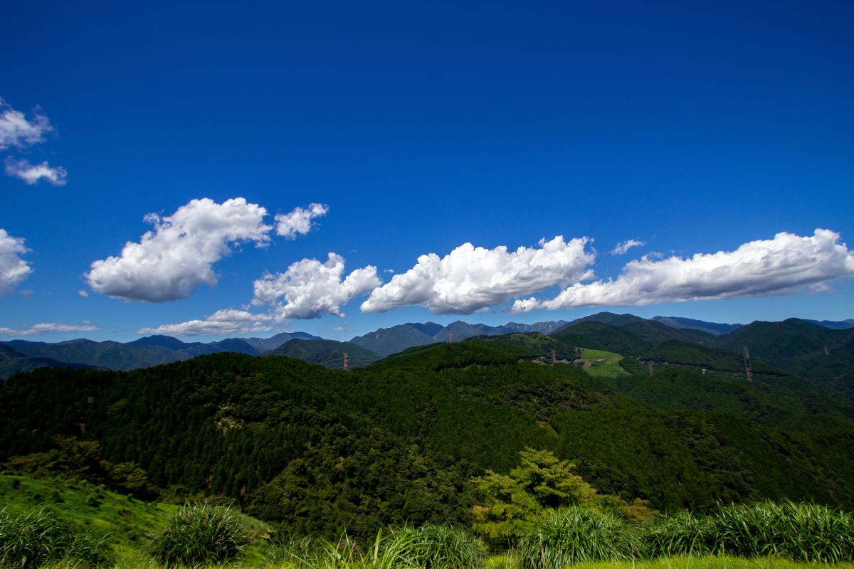 夏山.jpg | GANREF