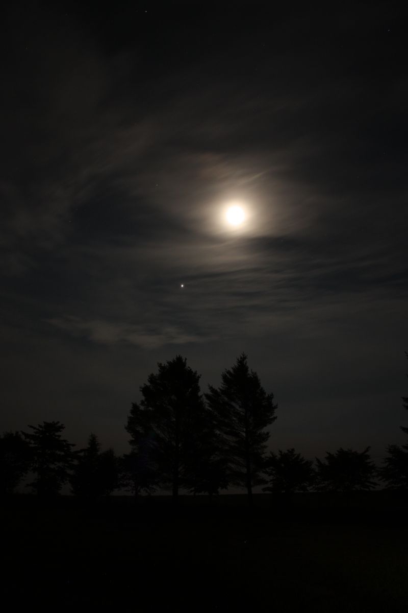 朧月夜 | GANREF