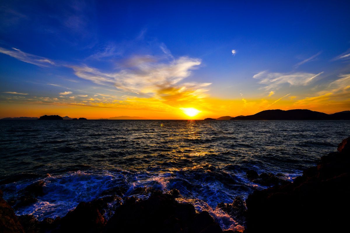 20e5d440af35bc6d8c52f2f2a7de2f