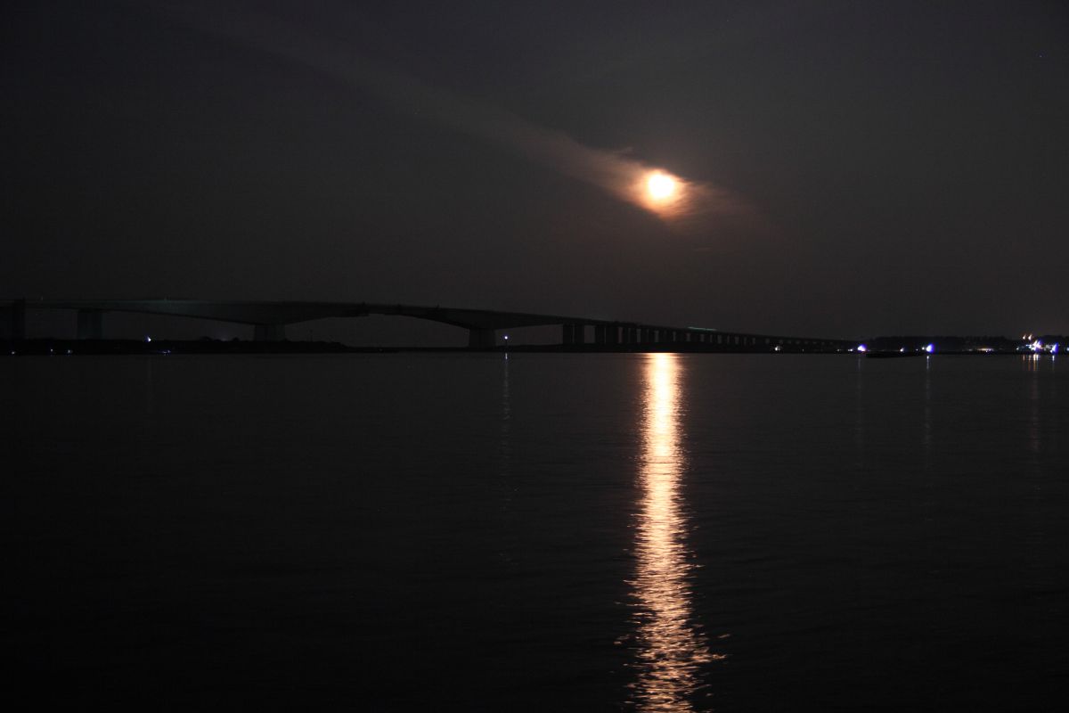 MOON LIGHT | GANREF