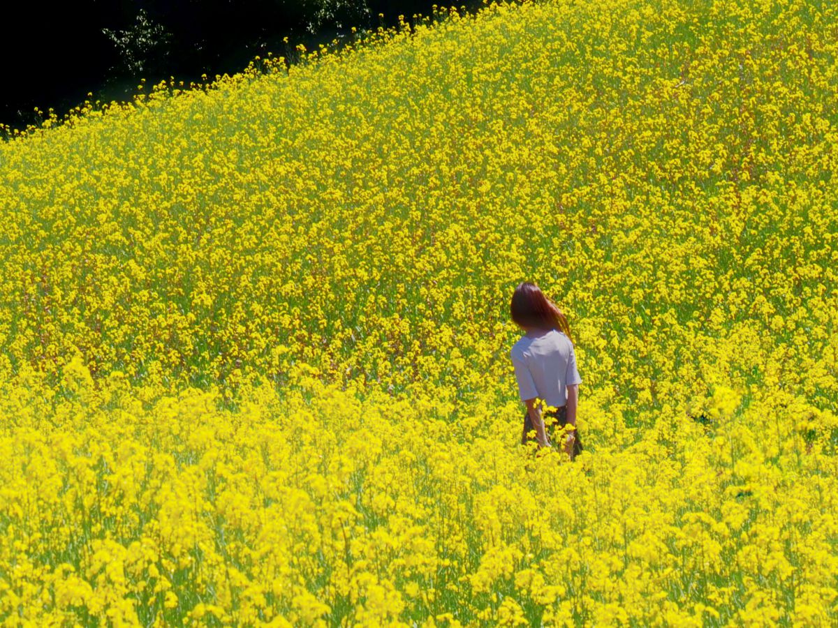 14110f0675169f5d02f30b15952b26