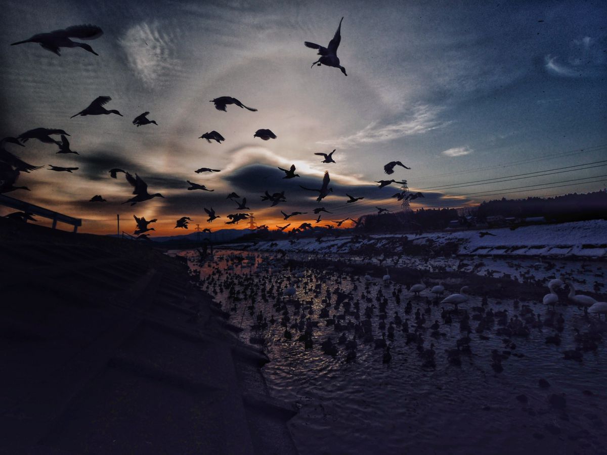 River side of dawn | GANREF