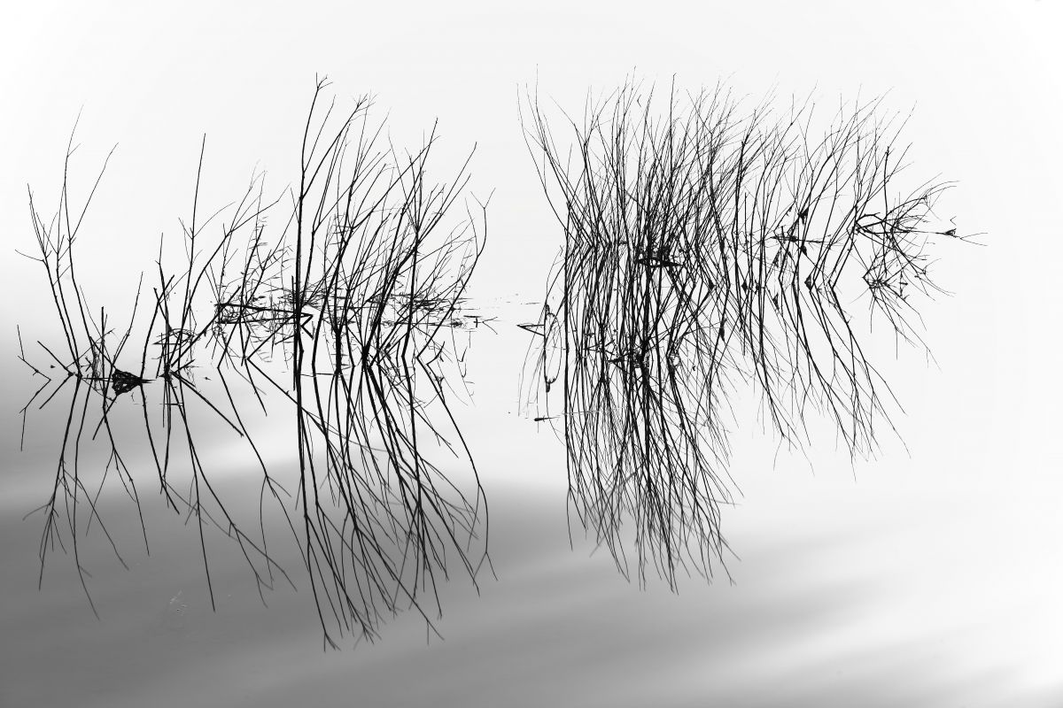 Reflection | GANREF