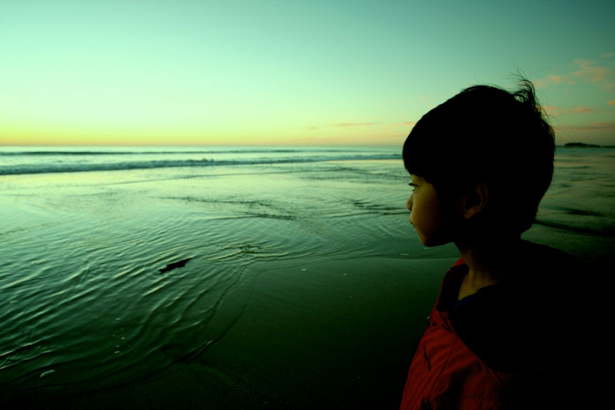 太古の海に GANREF