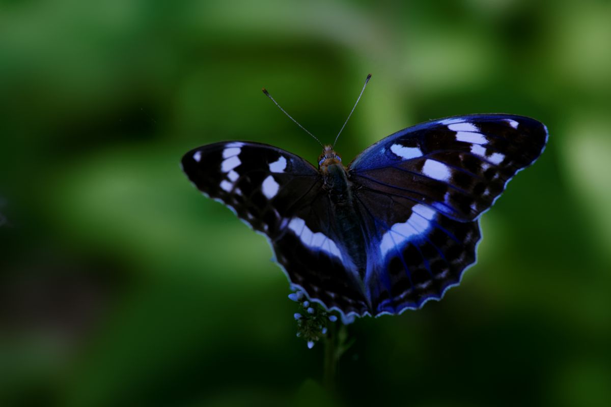 9e1dfab212b1fa0eb44ba956b2a598