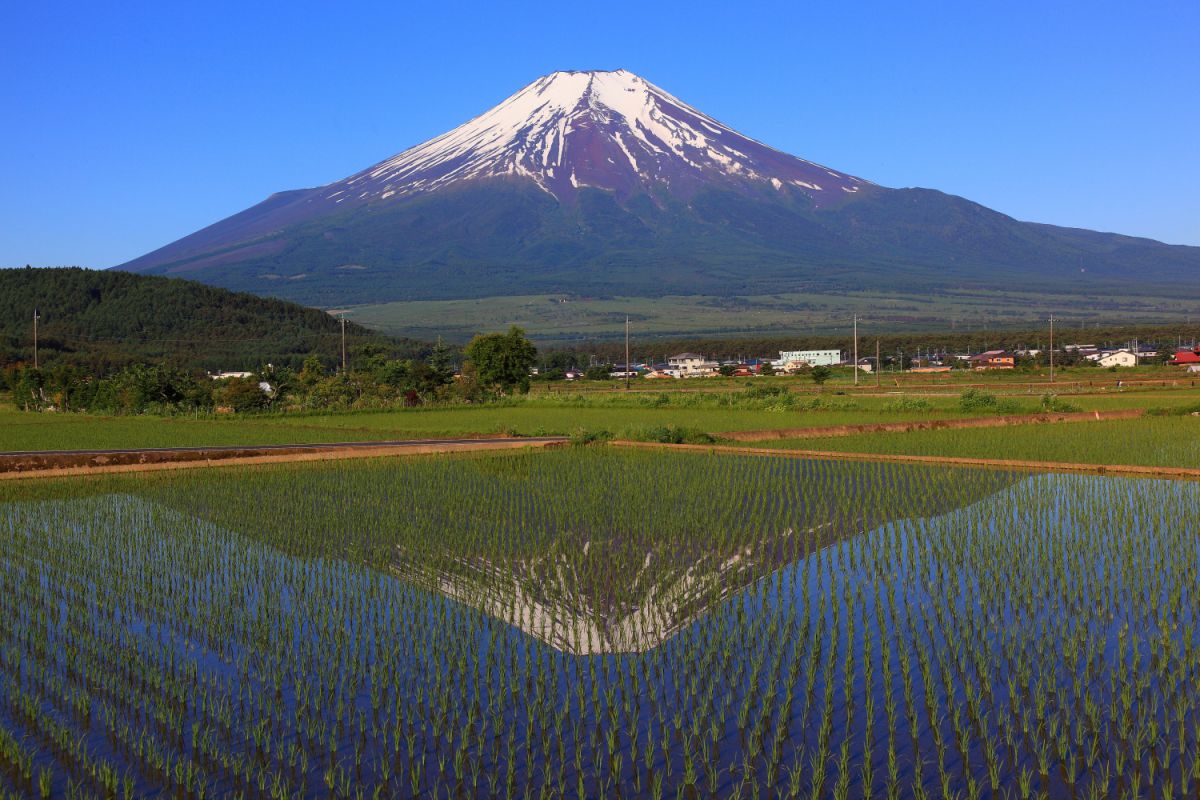 0cded1f87b50c6be4f1c7341e6f0d0