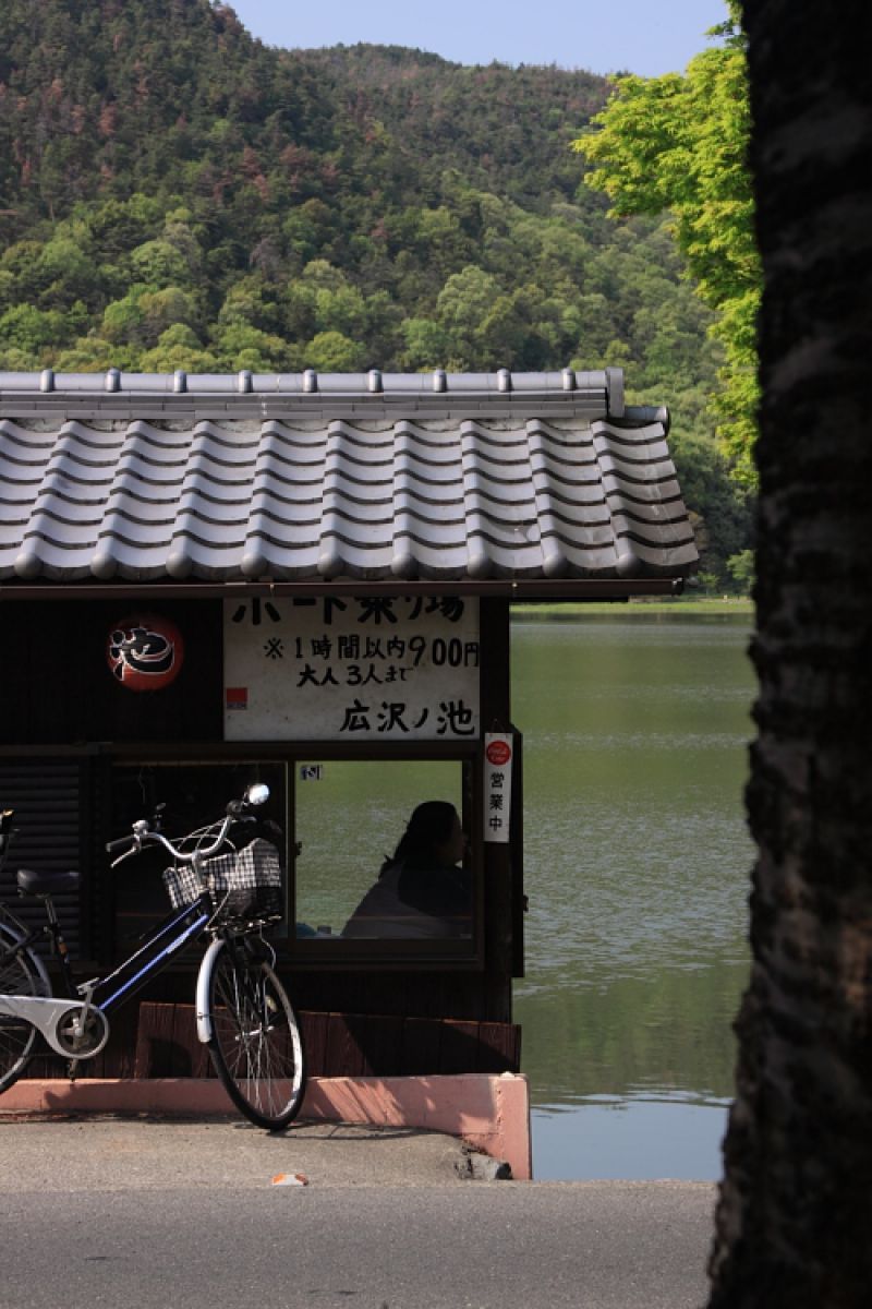 貸しボート屋の午後 広沢池 Ganref