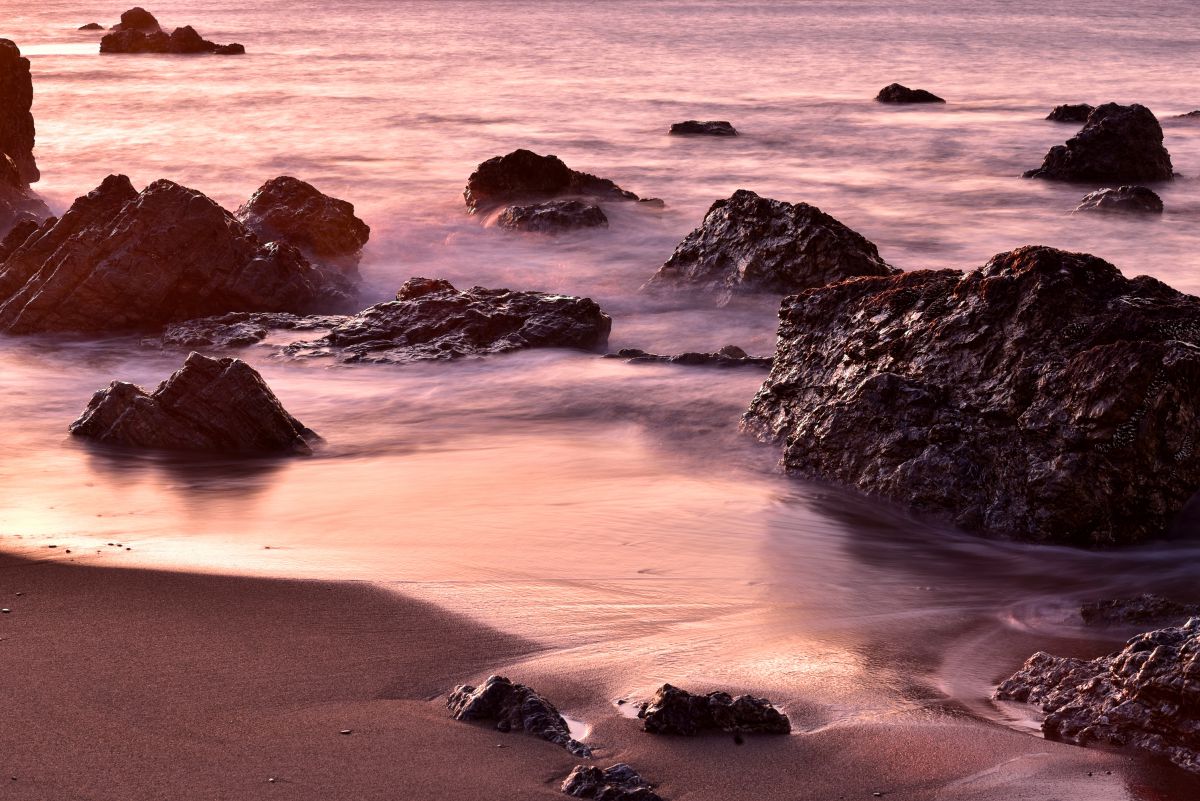 On The Beach | GANREF