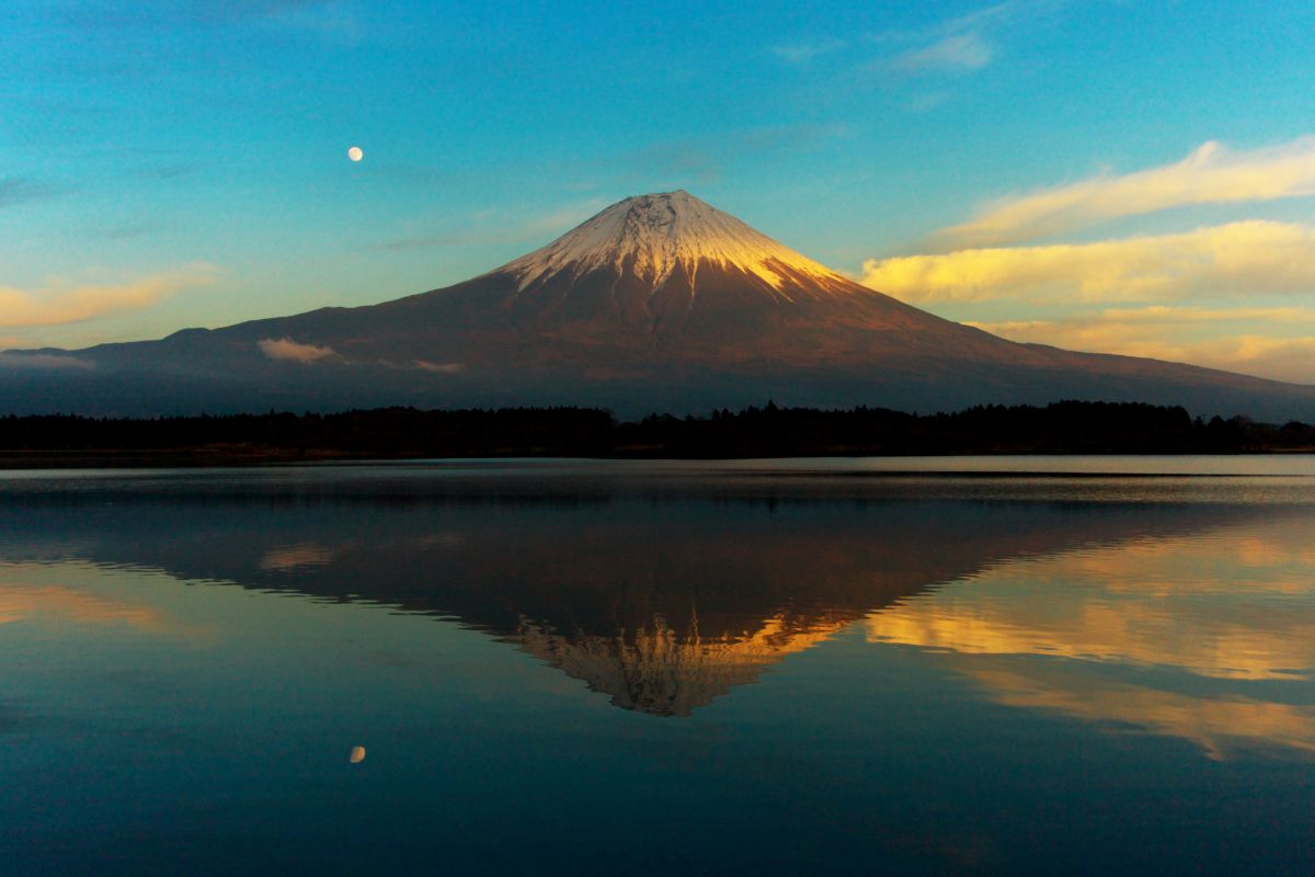 890b68749eb4958fb869195ba331d5