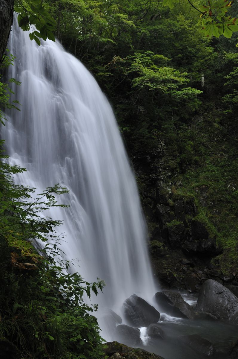鯉の滝のぼり。 開運・鯉の滝登り 石田芳園作 天龍昇鯉吉祥図 鯉の