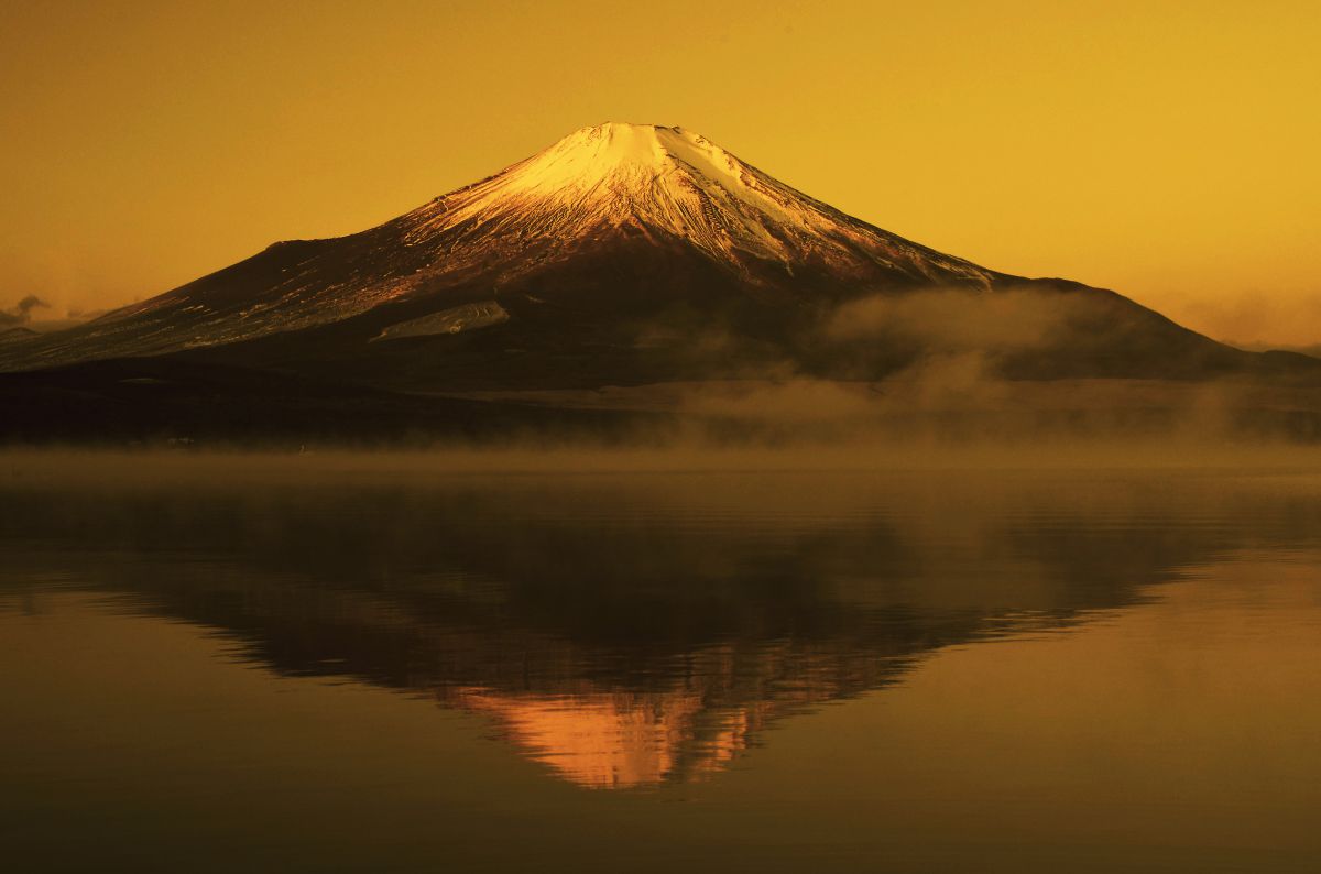 黄金富士 | GANREF