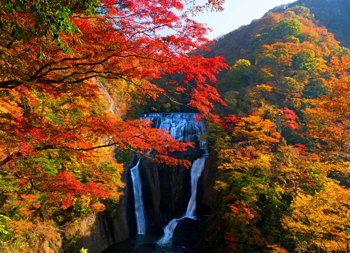 袋田の滝紅葉リボーン | GANREF