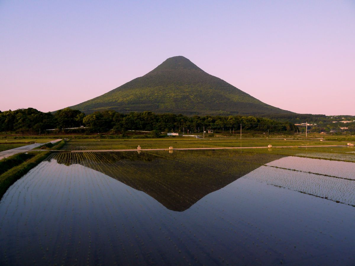 薩摩富士姿映 | GANREF