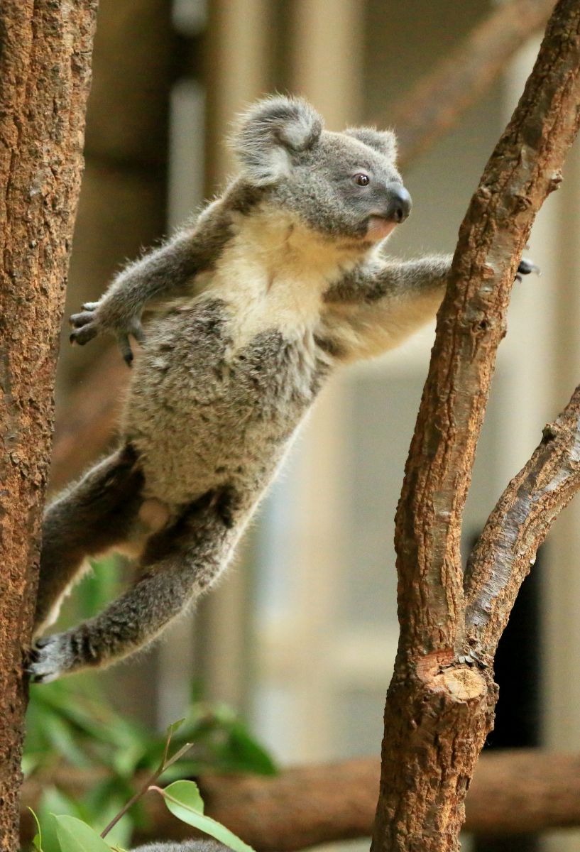 20154c3837e74994d59b748472cef2