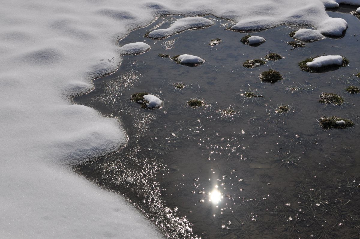 Rice field / Winter | GANREF