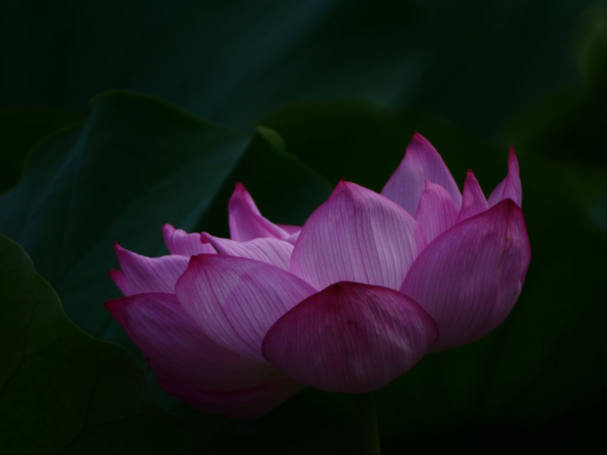 e9fae2ff6b1596b5123be8d07bb4c1