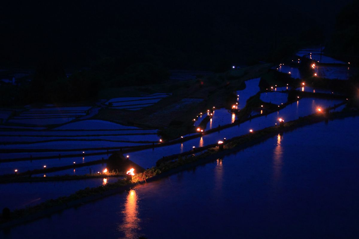 eco light up | GANREF