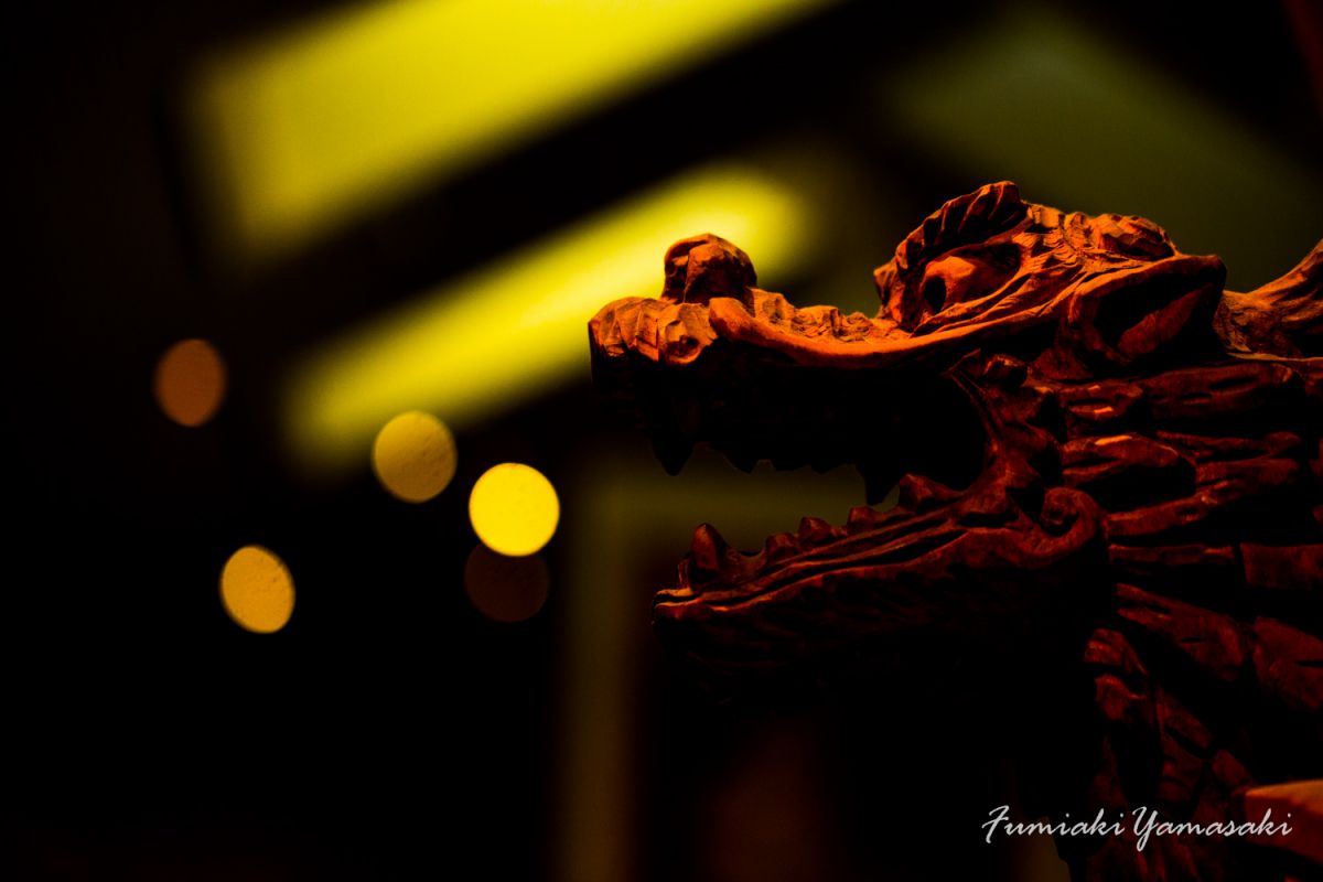 Dragon Fire | GANREF