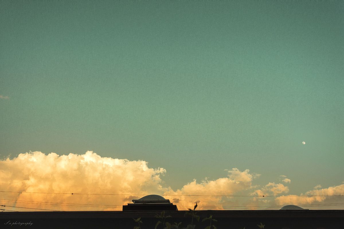 Usual sky | GANREF