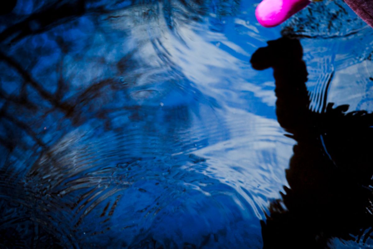 Pink and Blue | GANREF