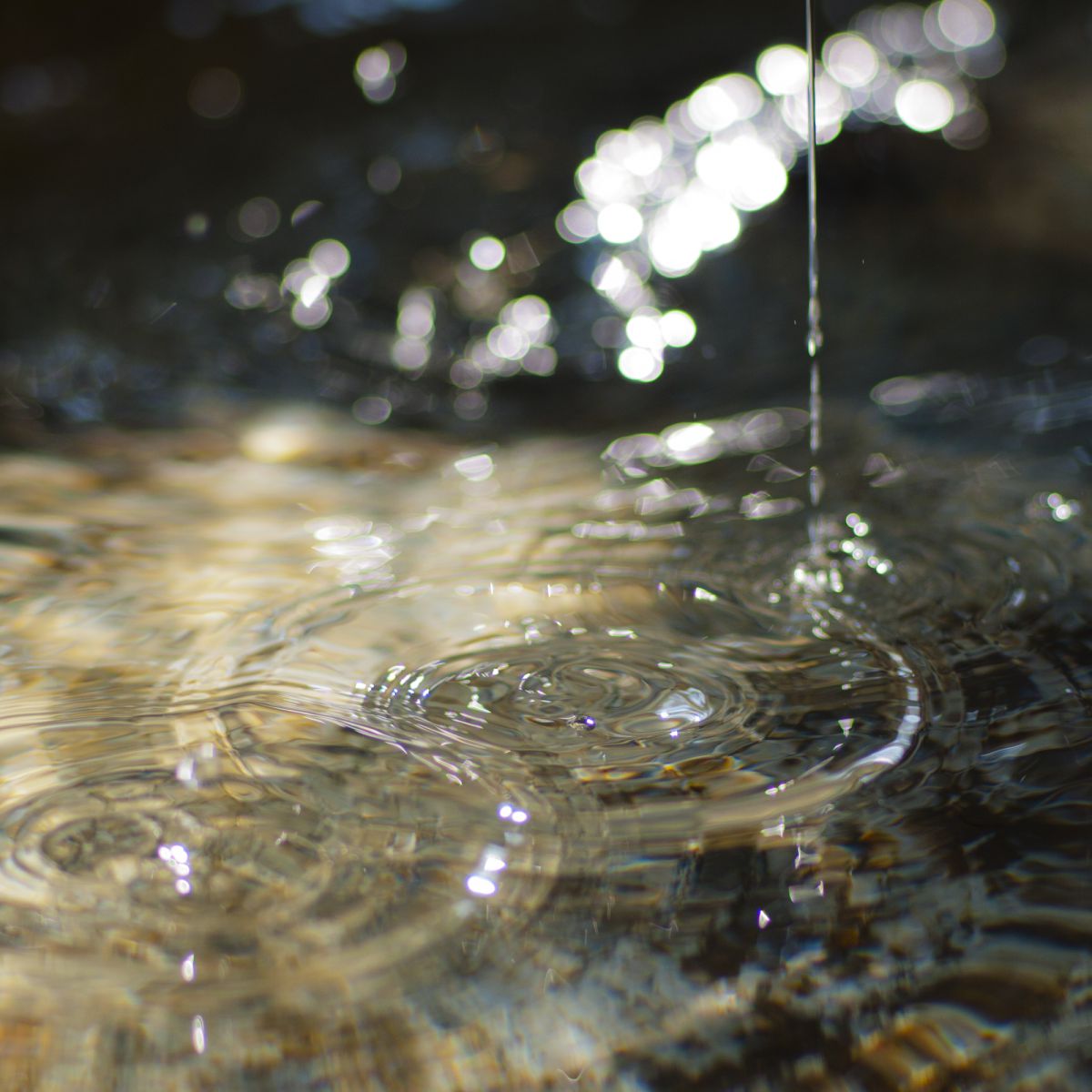 静寂の光 | GANREF