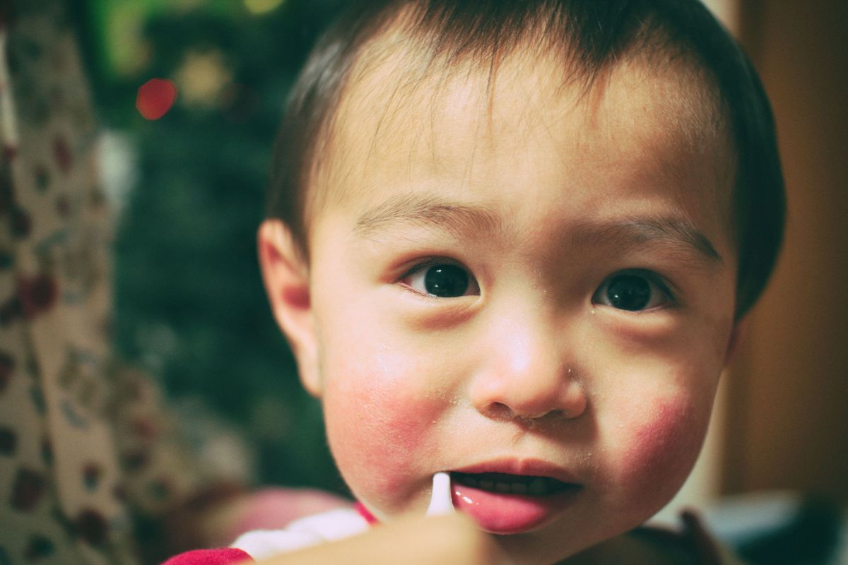 りんごのほっぺ GANREF