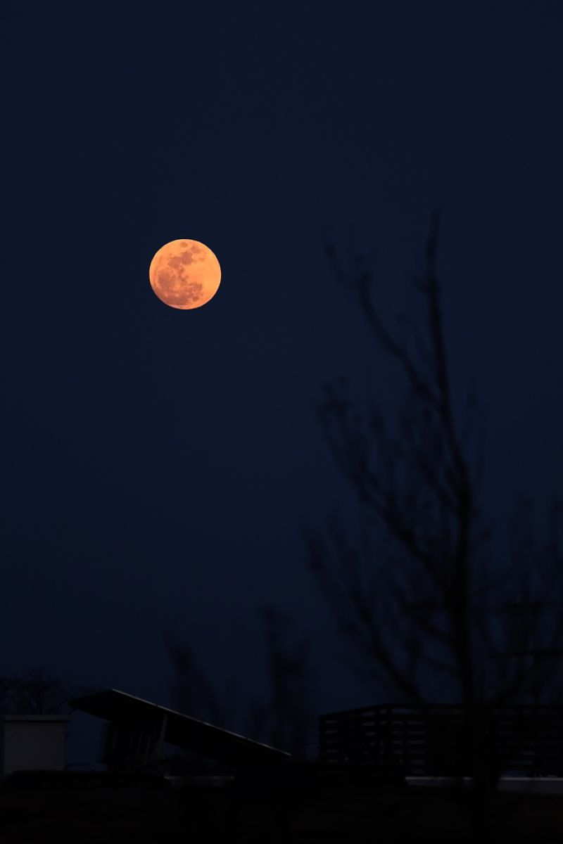FULL MOON | GANREF