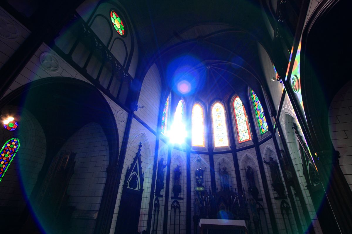 blue light | GANREF