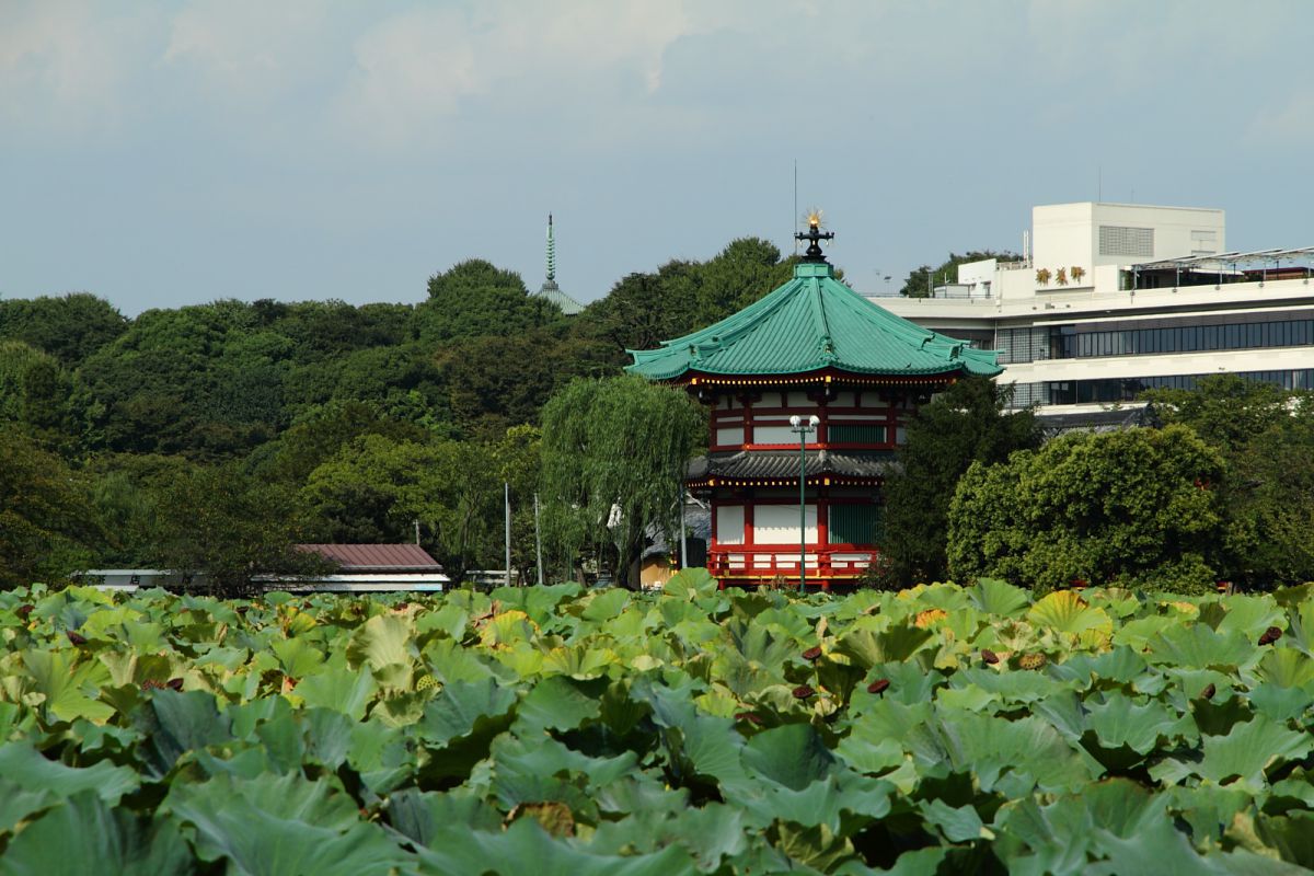 上野公園弁天堂 – 不忍池弁天堂 巳の日 2023 – GWCA
